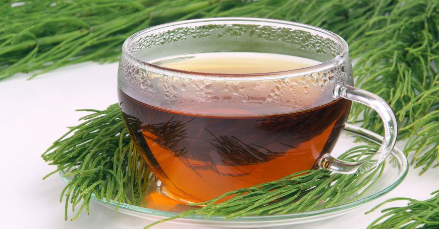 horsetail tea